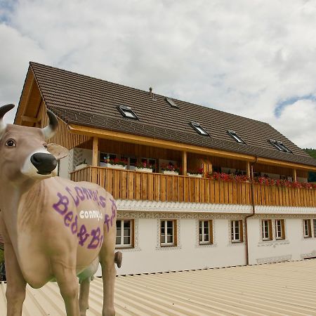 Conny'S B&B Niederweningen Dış mekan fotoğraf