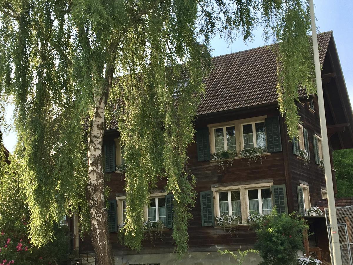 Conny'S B&B Niederweningen Dış mekan fotoğraf