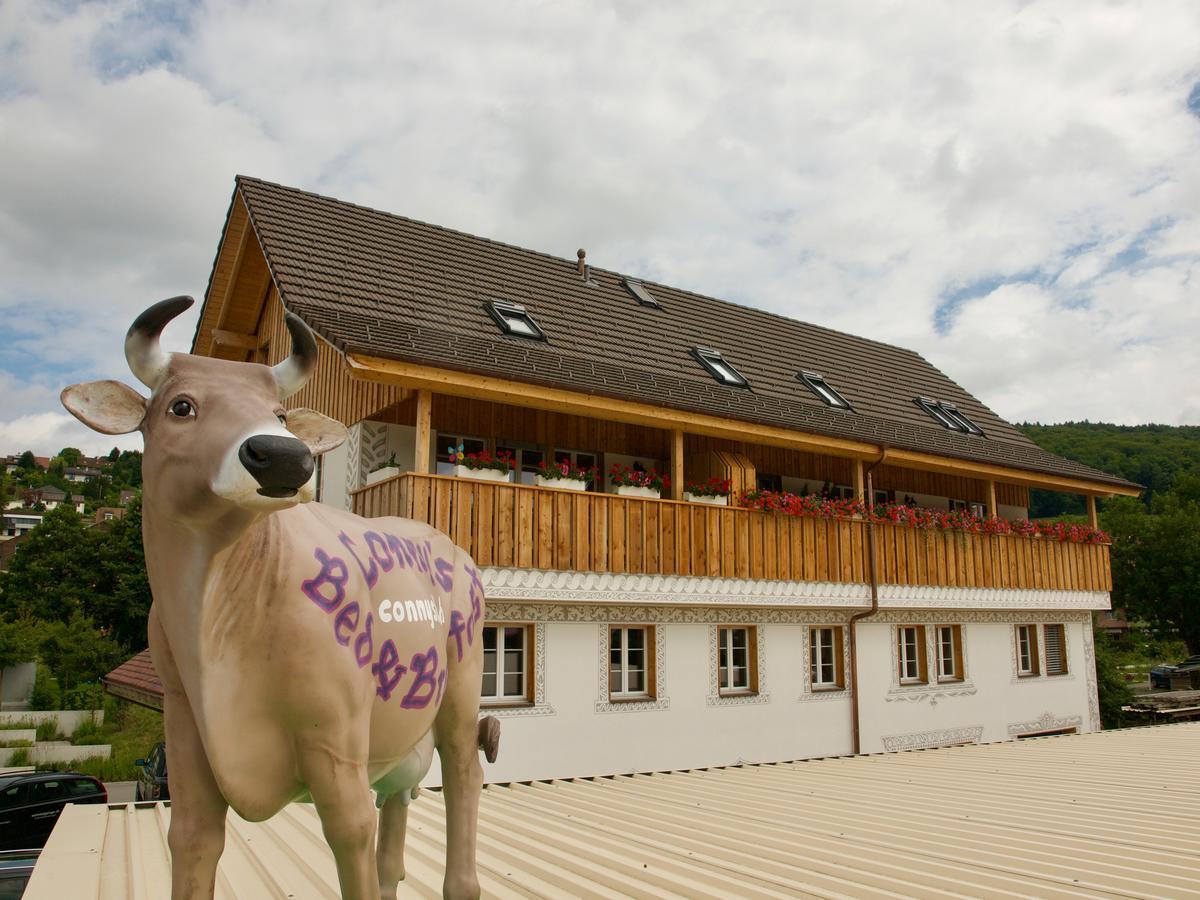 Conny'S B&B Niederweningen Dış mekan fotoğraf