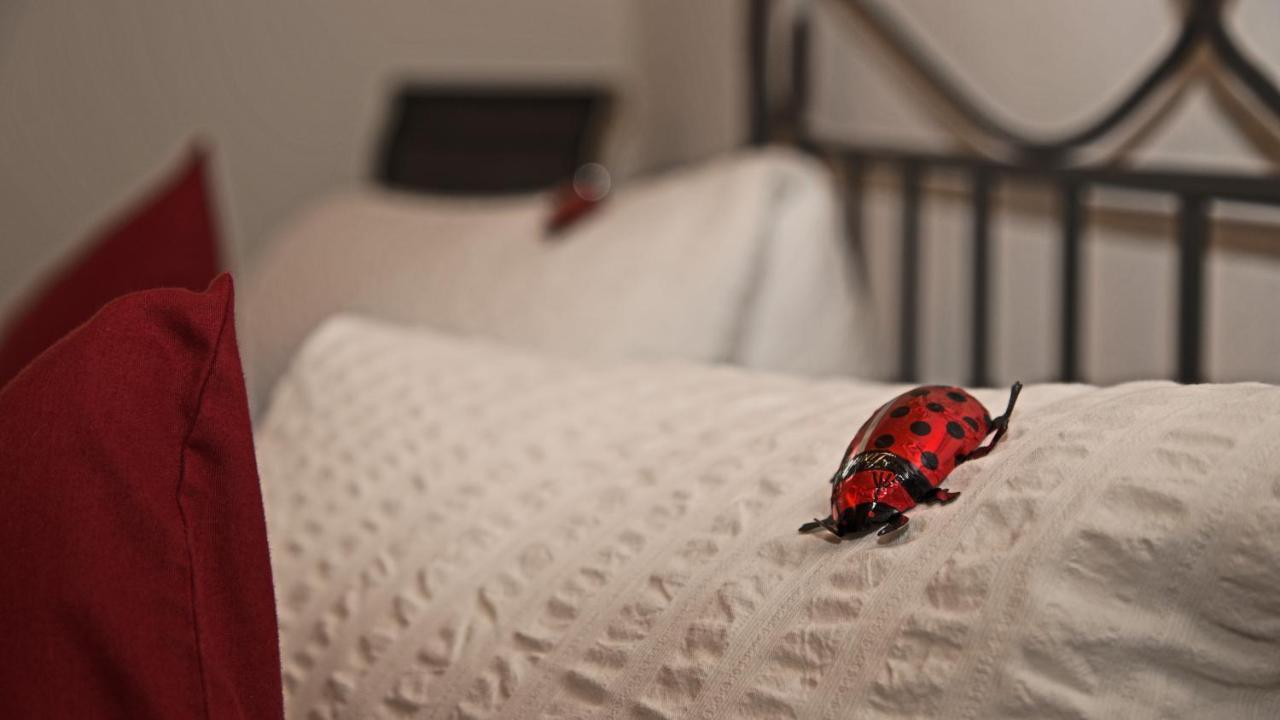 Conny'S B&B Niederweningen Dış mekan fotoğraf